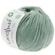 Lana Grossa LANDLUST MERINO 120 (GOTS & ICEA) | 136-Silbergrün