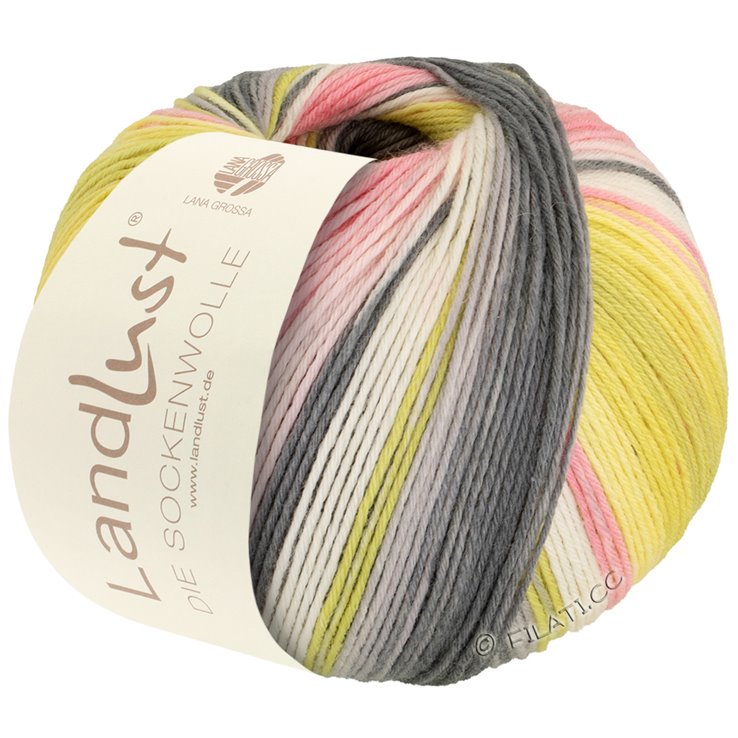 LANDLUST DIE SOCKENWOLLE 150g 6-Fach - von Lana Grossa | 912-