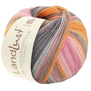 LANDLUST DIE SOCKENWOLLE 150g 6-Fach von Lana Grossa