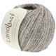 Lana Grossa LANDLUST SOMMERSEIDE Mélange | 104-Grau/Braun/Beige