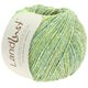 Lana Grossa LANDLUST SOMMERSEIDE Mélange | 113-Grüngelb meliert