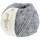 Lana Grossa LANDLUST WINTERWOLLE Tweed | 105-Hellblau meliert