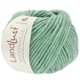 Lana Grossa LANDLUST WINTERWOLLE | 17-Mint meliert