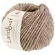 LANDLUST WINTERWOLLE - von Lana Grossa | 37-Beige meliert