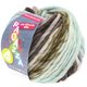 Lana Grossa LEI Mouliné/Color Mix/Spray (Auslauffarben) | 162-Rohweiß/Graubraun/Anthrazit