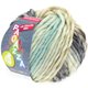 Lana Grossa LEI Mouliné/Color Mix/Spray (Ragazza) | 262-Hellbeige/Rohweiß/Grau/Mint/Umbra