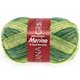 Lana Grossa MEILENWEIT 6-FACH 150g Merino Print | 9063-