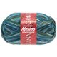 Lana Grossa MEILENWEIT 6-FACH 150g Merino Print | 9317-