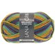 MEILENWEIT 8-FACH 100g Print - von Lana Grossa | 9859-