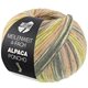Lana Grossa MEILENWEIT 100g Alpaca Poncho | 2724-Silbergrau/Hellgrau/Dunkelgrau/Helloliv/Sandbeige