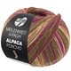 Lana Grossa MEILENWEIT 100g Alpaca Poncho | 2728-Moosgrün/Rotviolett/Ecru/Orange/Braun