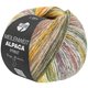 Lana Grossa MEILENWEIT 100g Alpaca Print | 2101-