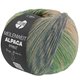 Lana Grossa MEILENWEIT 100g Alpaca Print | 2212-