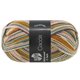 Lana Grossa MEILENWEIT 100g Caccia | 5306-