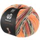 Lana Grossa MEILENWEIT 100g Cashmere Pista | 141-Orange/Hellgrau/Dunkelgrau/Braunorange/Hellgrün/Erika/Brombeer/Graubraun gestreift