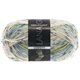 Lana Grossa MEILENWEIT 100g Confetti | 2509-