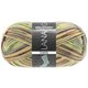 Lana Grossa MEILENWEIT 100g Forte | 1556-