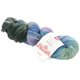 Lana Grossa MEILENWEIT 100g Merino Hand-dyed | 611-Vinod