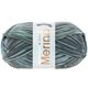 MEILENWEIT 100g Merino Extrafine Dolomiti - von Lana Grossa | 2573-