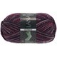 Lana Grossa MEILENWEIT 100g Outback | 2404-