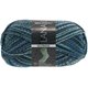 Lana Grossa MEILENWEIT 100g Outback | 2406-
