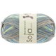 Lana Grossa MEILENWEIT 100g Soja Lago | 5162-