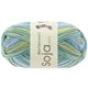 Lana Grossa MEILENWEIT 100g Soja Lago | 5166-