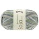 Lana Grossa MEILENWEIT 100g Soja Lago | 5172-