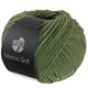 Lana Grossa MERINO SOFT | 17-Grün