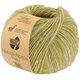 Lana Grossa NATURAL ALPACA Pelo | 026-Kiwi meliert