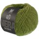 Lana Grossa NEBBIA (Nera) | 10-Apfelgrün