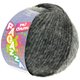 Lana Grossa PIU COLORI Degradé (Ragazza) | 109-Hellgrau/Dunkelgrau/Anthrazit