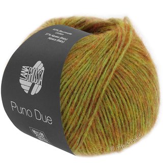 PUNO DUE von Lana Grossa