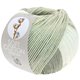 Lana Grossa SOFT COTTON Dégradé | 114-Weiß/Silbergrau/Hellgrau/Grau