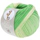 Lana Grossa SOFT COTTON Dégradé | 118-Ecru/Zartgrün/Jade