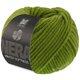 Lana Grossa WINTER SOFTNESS (Nera) | 27-Grün