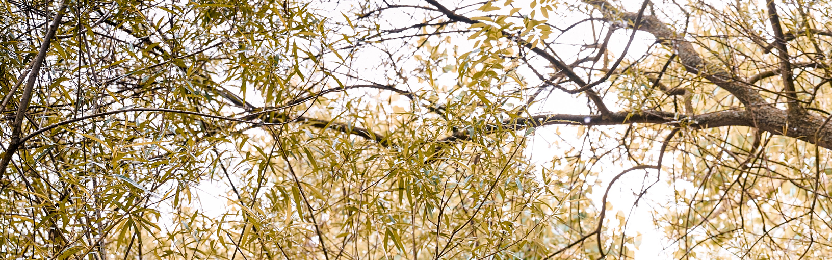 HOCHWERTIGE QUALITÄT & KREATIVES STRICKDESIGN Modellpakete<br>